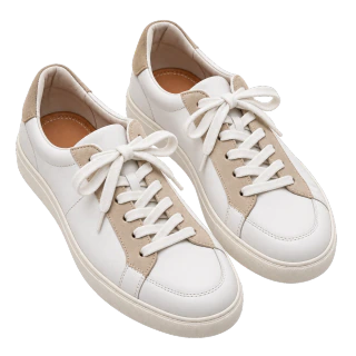 Schuhmodell 22